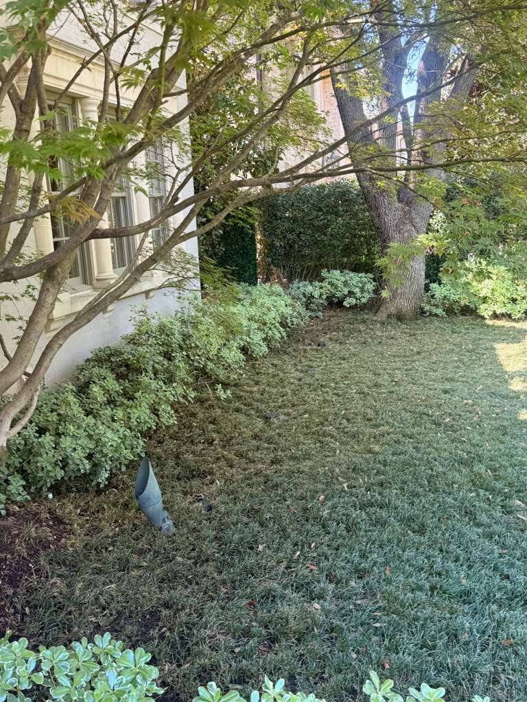 Recent garden and landscape project in the Dallas area, photo 11