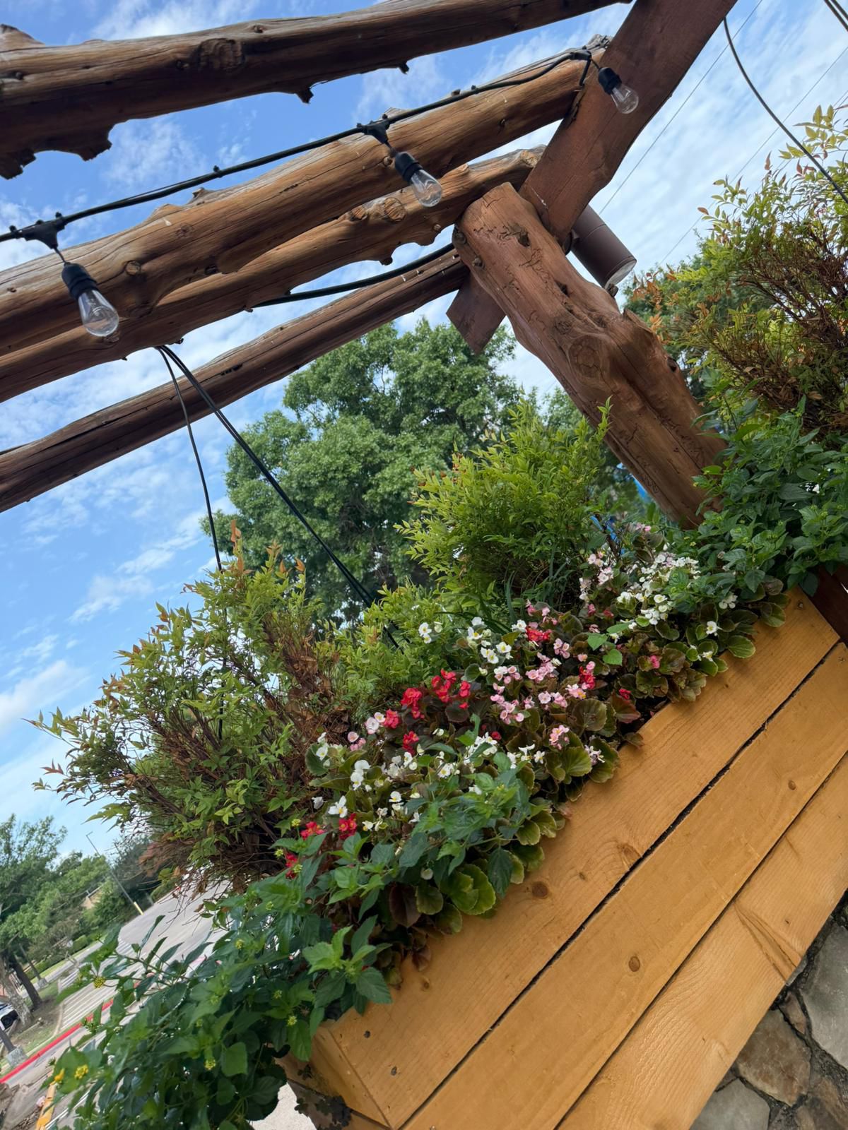 Recent garden and landscape project in the Dallas area, photo 16