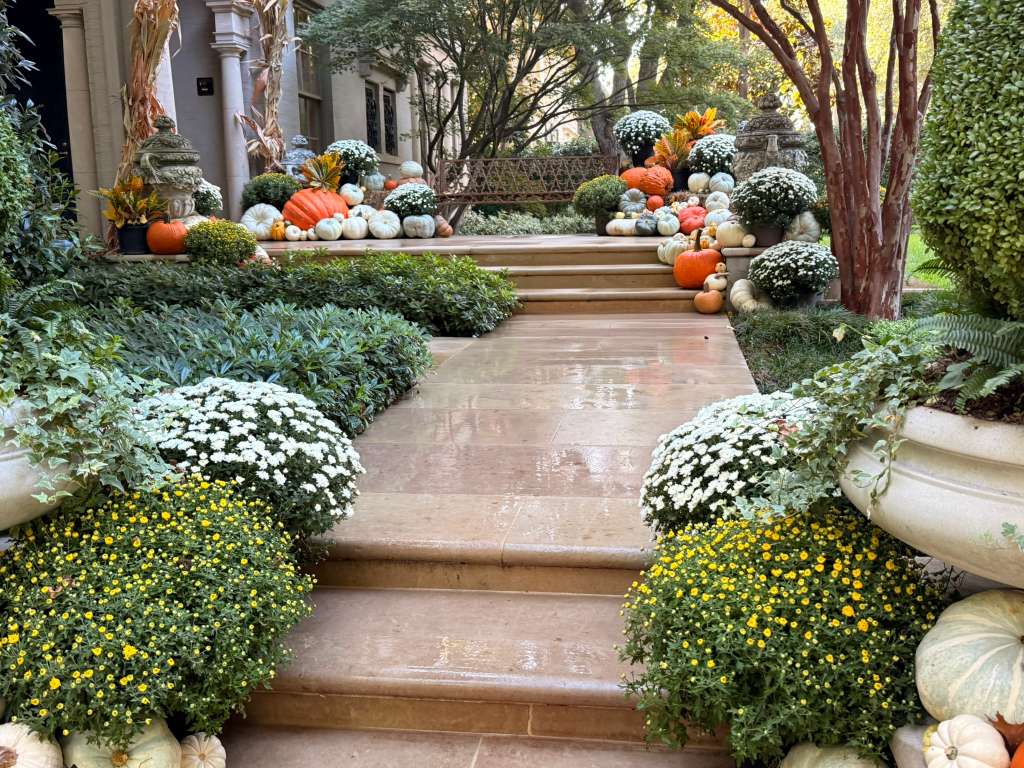 Recent garden and landscape project in the Dallas area, photo 18