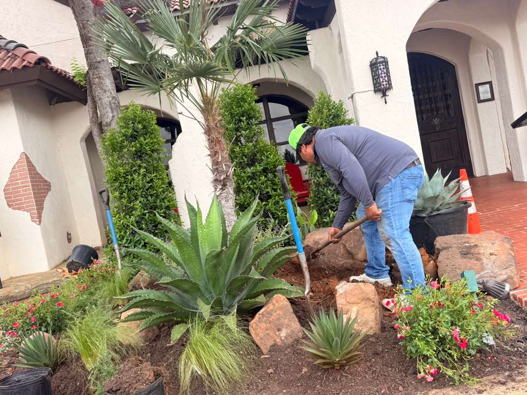 Recent garden and landscape project in the Dallas area, photo 14