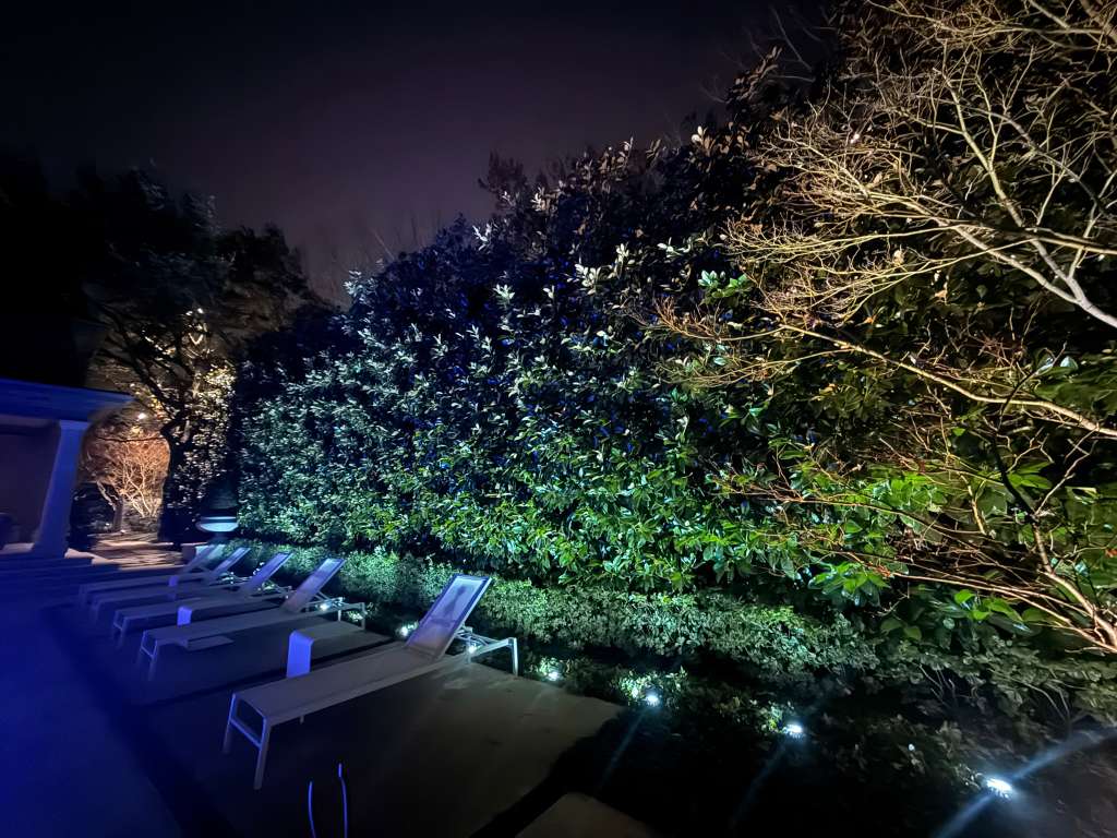 Recent garden and landscape project in the Dallas area, photo 5