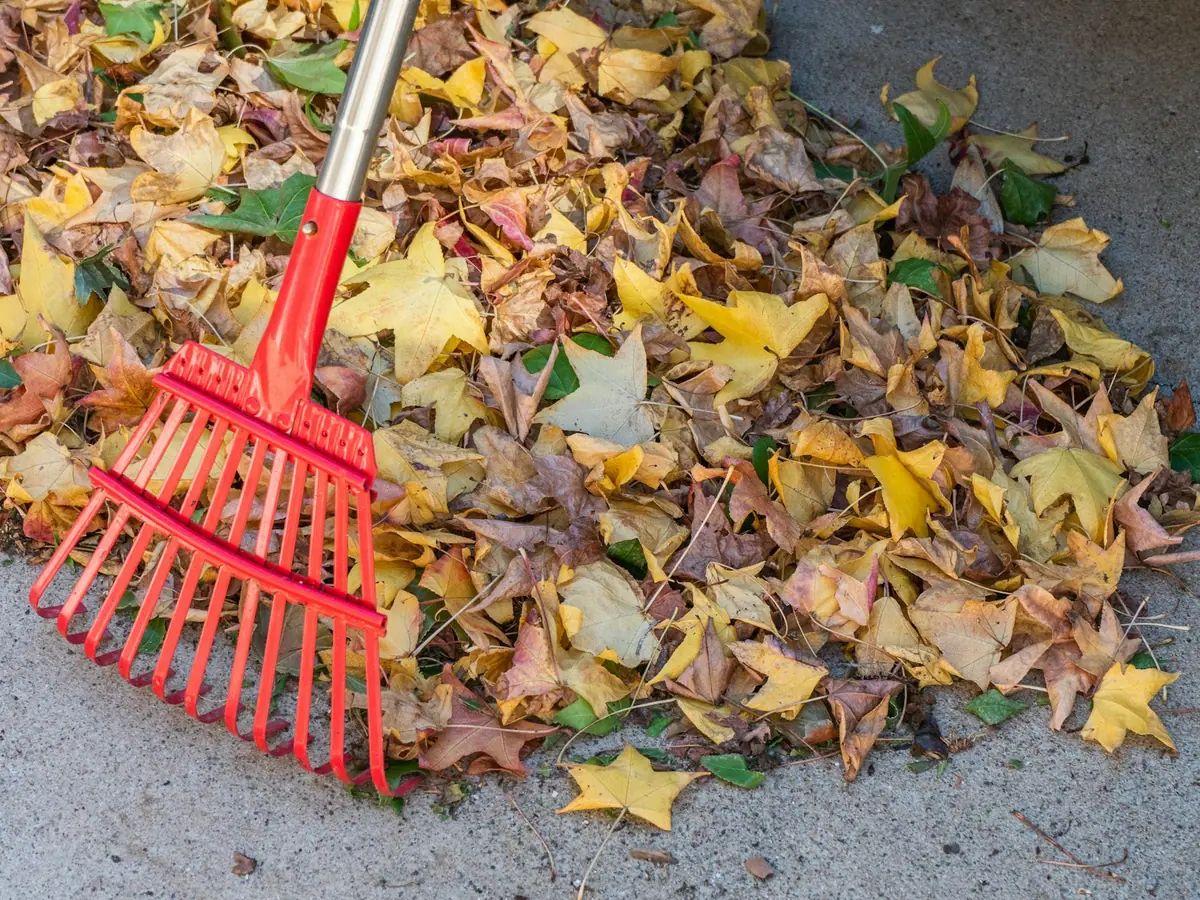 The North Texas Landscaping Calendar: What to Do Each Season