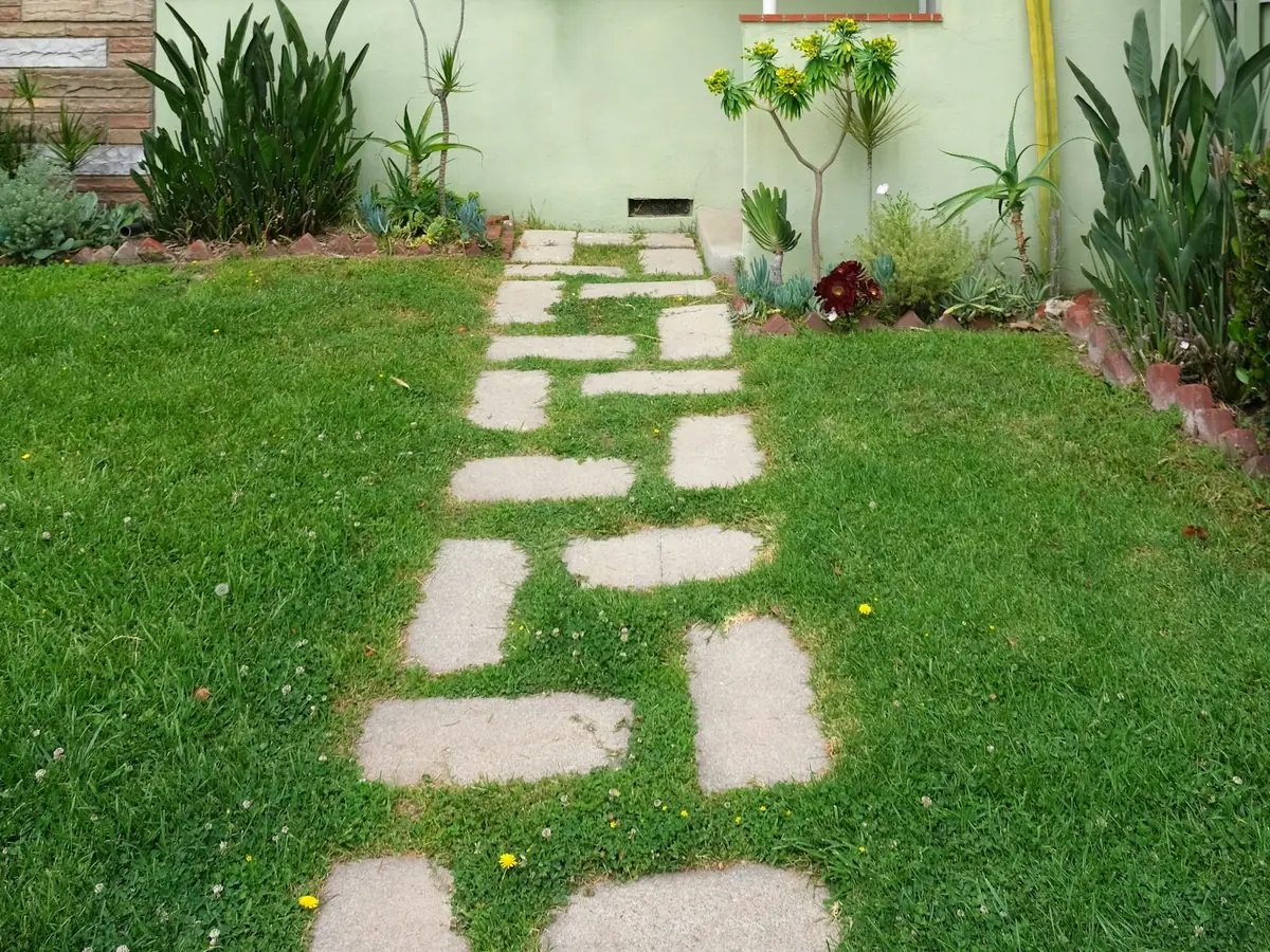 St. Augustine vs. Bermuda: Which Sod Is Right for Your Dallas Yard?