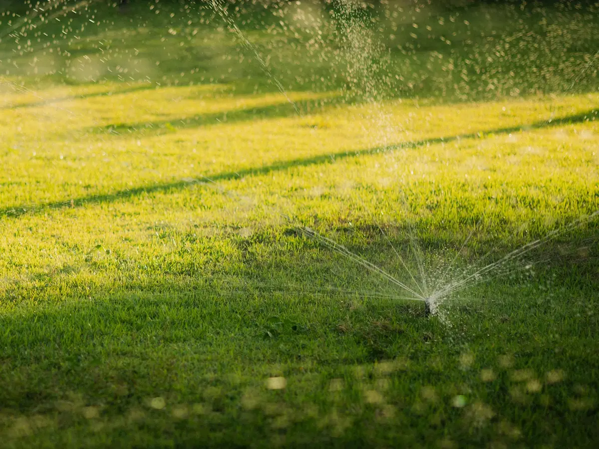 Irrigation Repair & Installation