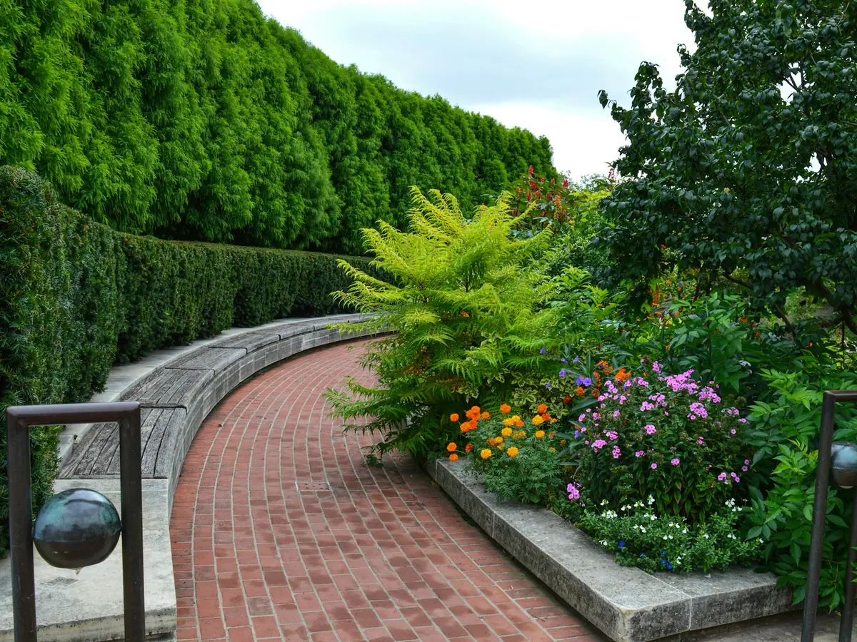 Landscape Design & Installation