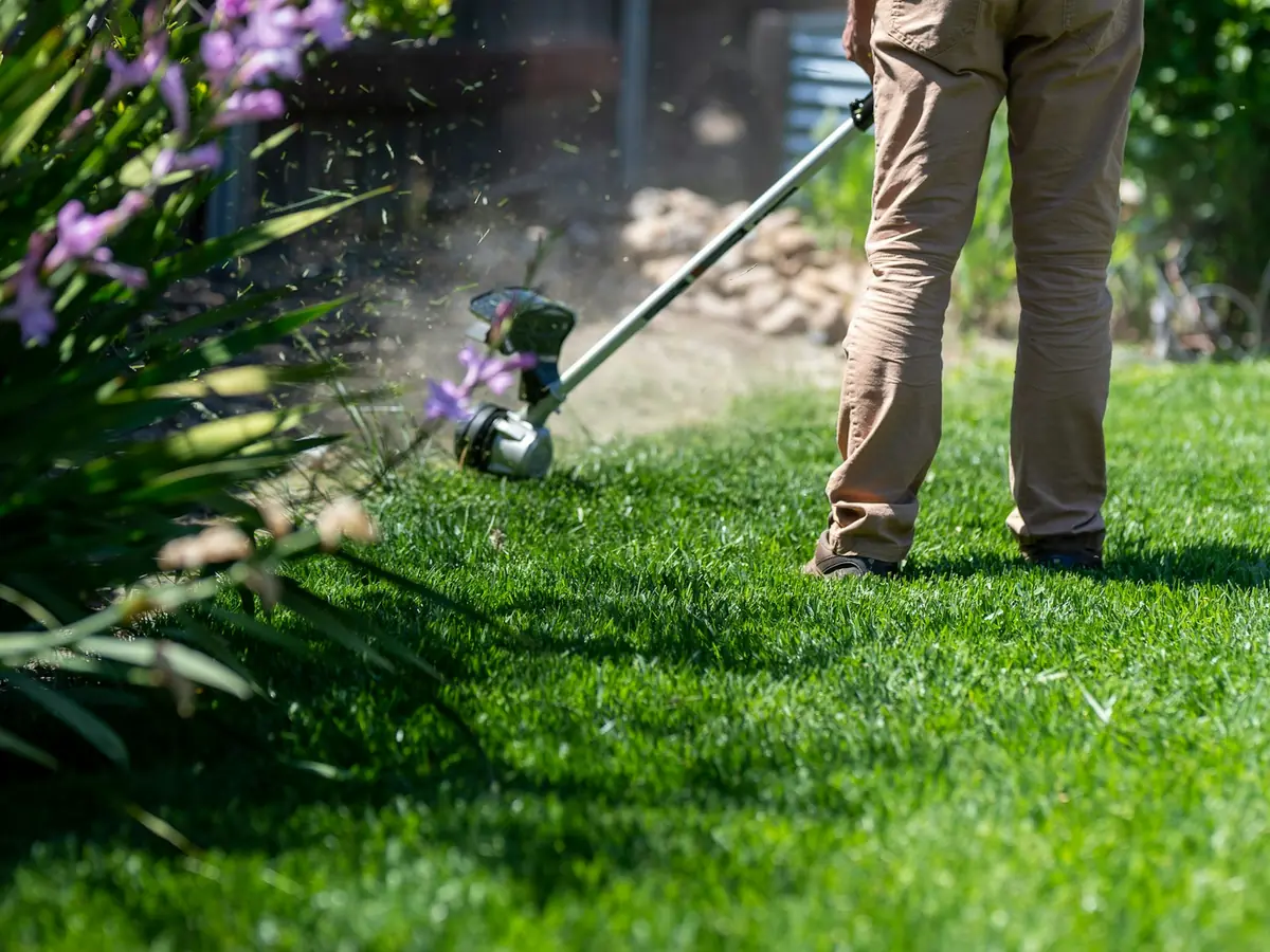 Lawn & Landscape Maintenance