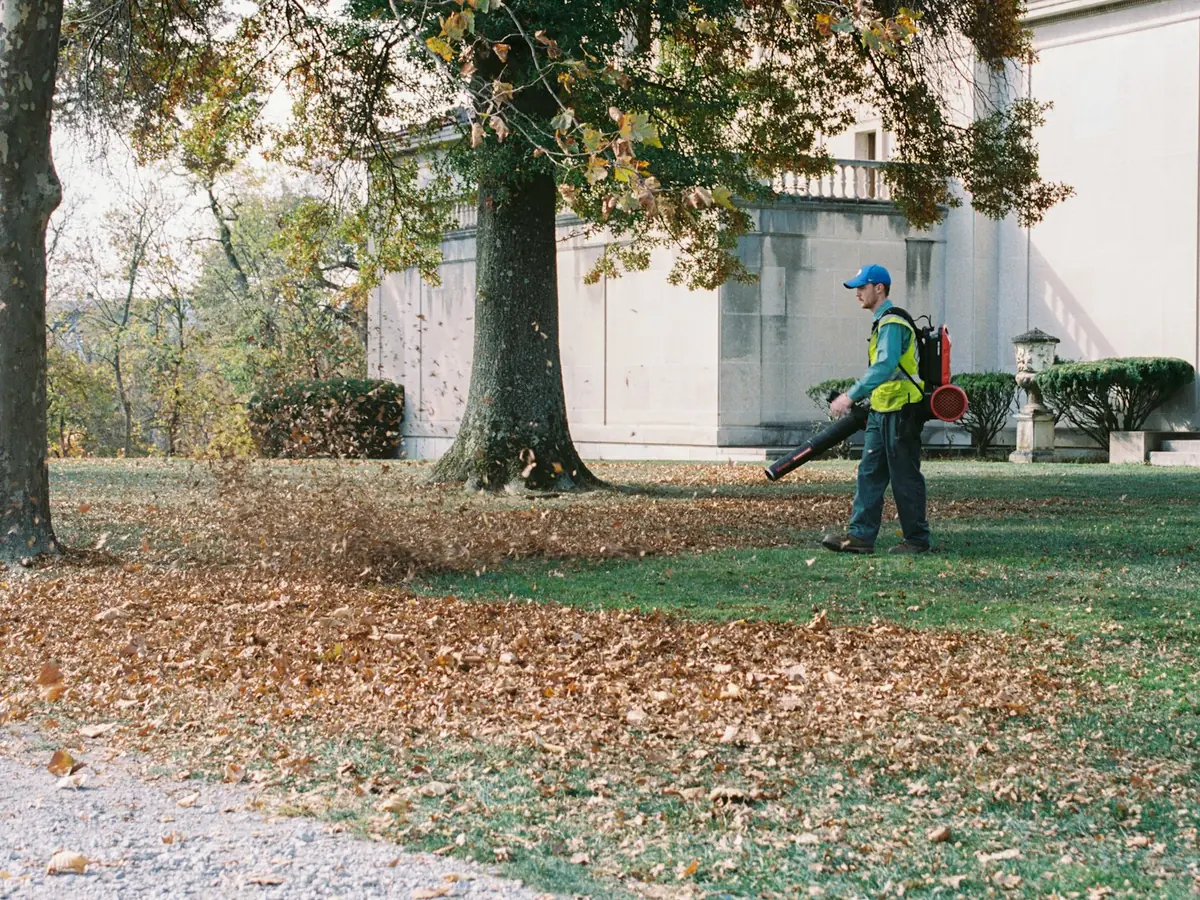 Spring & Fall Cleanups