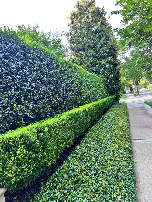 Leaf cleanup with wheelbarrow